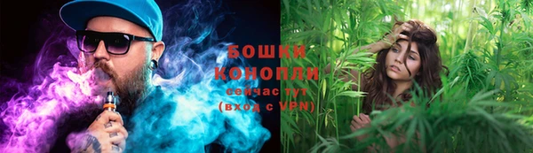 стафф Богородицк