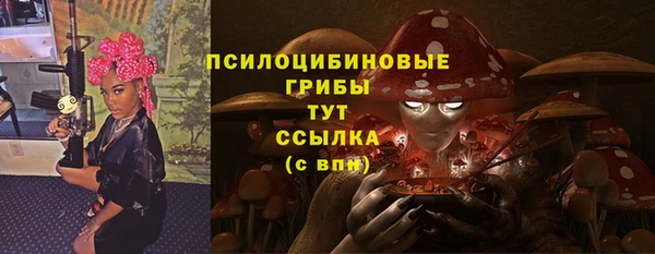 тгк Богданович