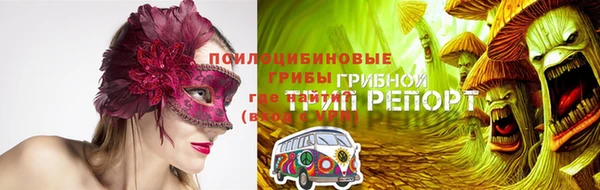 шишки Белоозёрский