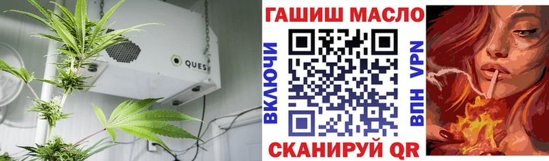 ТГК Wax Высоковск