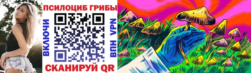 Псилоцибиновые грибы мухоморы  где найти наркотики  кракен ссылки  Высоковск 